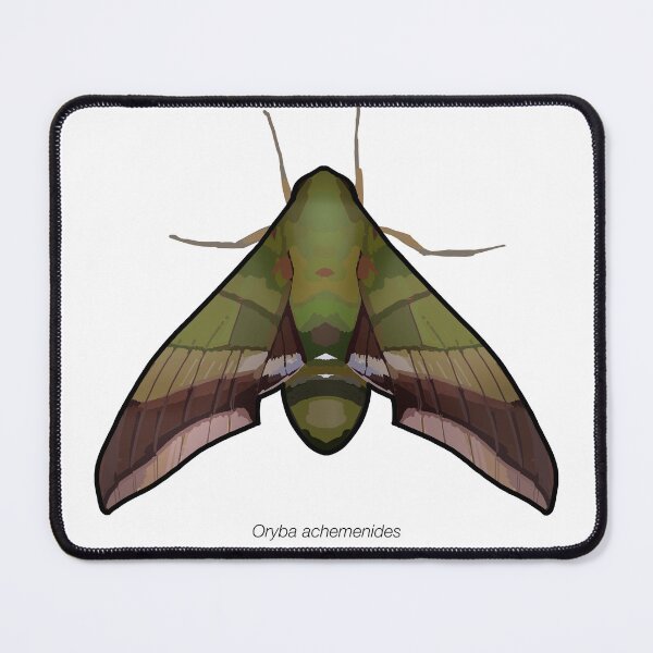 Item preview, Oryba achemenides, labeled designed and sold by marinemolecules.
