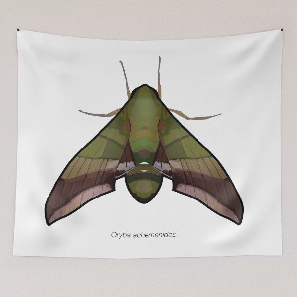 Item preview, Oryba achemenides, labeled designed and sold by marinemolecules.