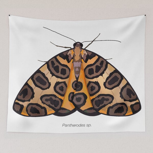 Item preview, Pantherodes sp., labeled designed and sold by marinemolecules.