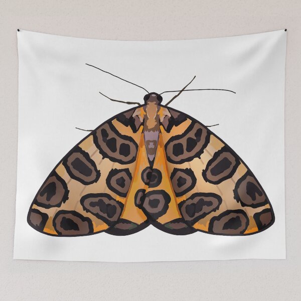Item preview, Pantherodes sp. designed and sold by marinemolecules.