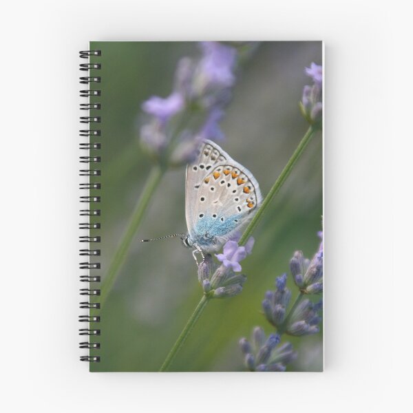 Artikelvorschau, Schmetterling in Lavendel entworfen und verkauft von Jasminka.