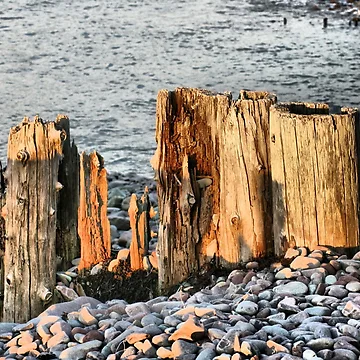 Artwork thumbnail, Rustic Beach by Rachel J Bowler