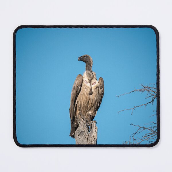 Item preview, Sky Sentinel – Vulture Perched Against the Blue designed and sold by DavideAntoniani.