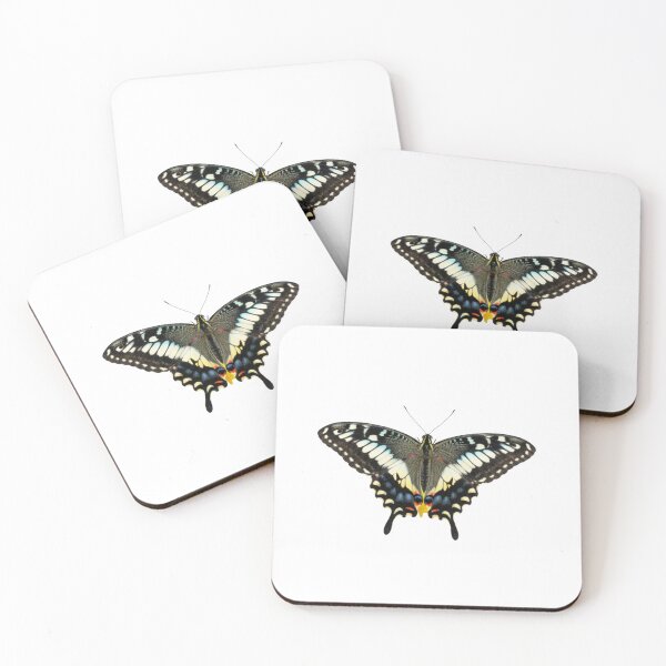 Item preview, Exotic butterfly designed and sold by KnlDsgn.