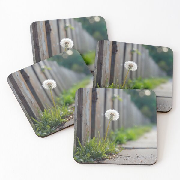 Item preview, Dandelion Growing Near a Wooden Fence By Sidewalk designed and sold by Maria Dryfhout.