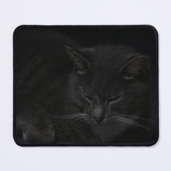 Item preview, Cat in the dark designed and sold by AnthonyThomas.