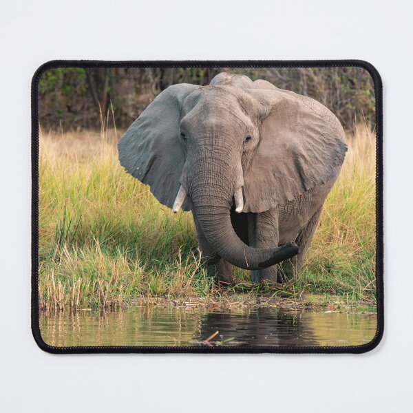 Item preview, River Giant – Elephant Drinking at the Water’s Edge designed and sold by DavideAntoniani.