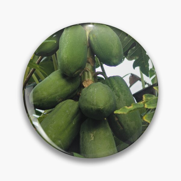 Item preview, slk papaya designed and sold by pcfyi.