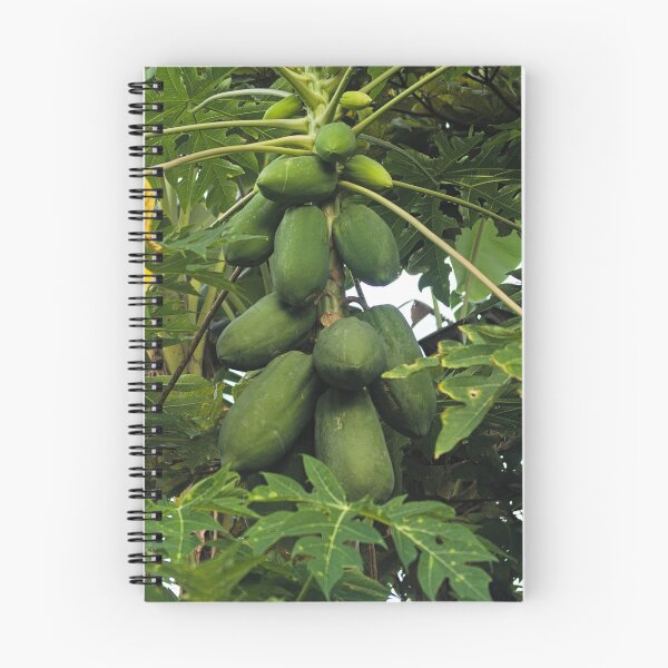 Item preview, slk papaya designed and sold by pcfyi.