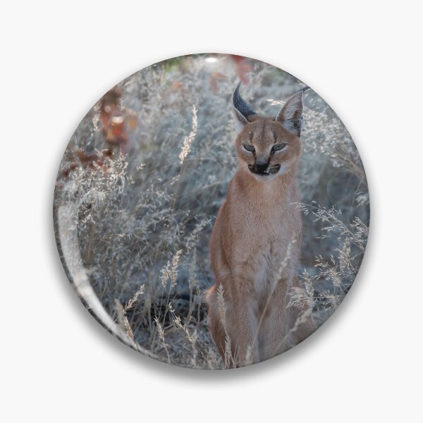 Item preview, Elusive Shadow – Rare Glimpse of a Caracal designed and sold by DavideAntoniani.