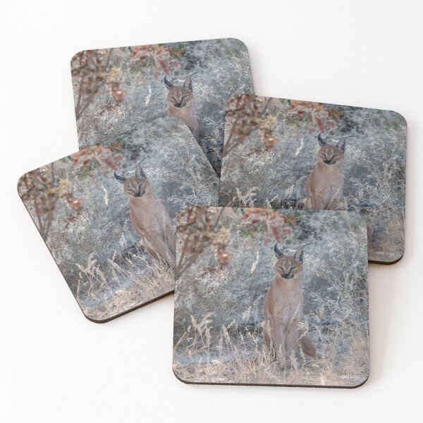 Item preview, Elusive Shadow – Rare Glimpse of a Caracal designed and sold by DavideAntoniani.