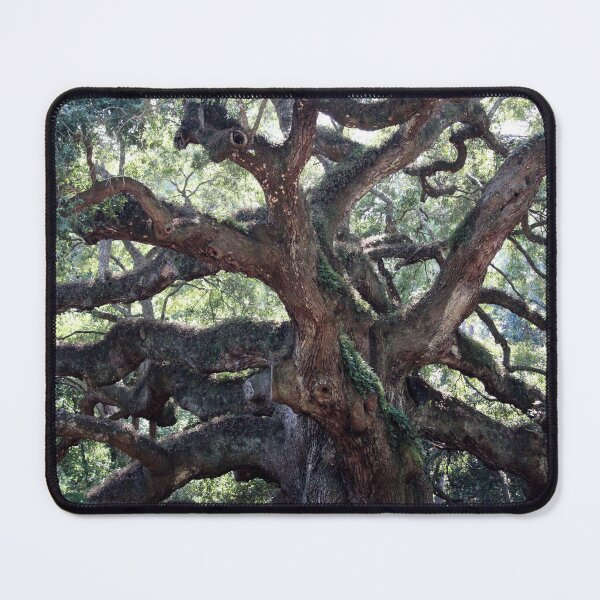 Item preview, Angel Oak Tree designed and sold by Cynthia48.