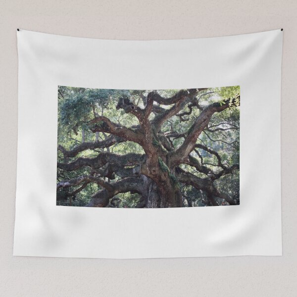 Item preview, Angel Oak Tree designed and sold by Cynthia48.