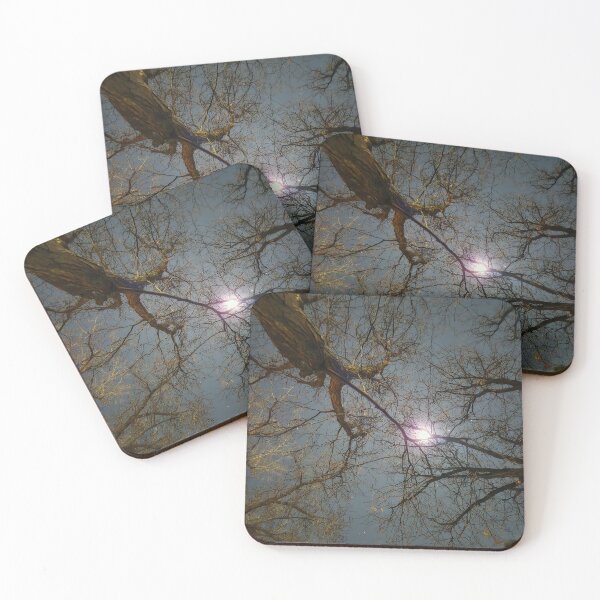 Item preview, Branches Reaching for the Light designed and sold by Weepin.