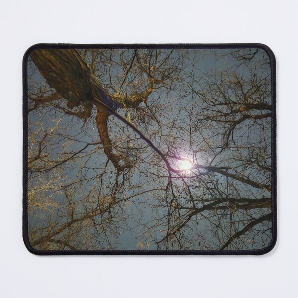 Item preview, Branches Reaching for the Light designed and sold by Weepin.