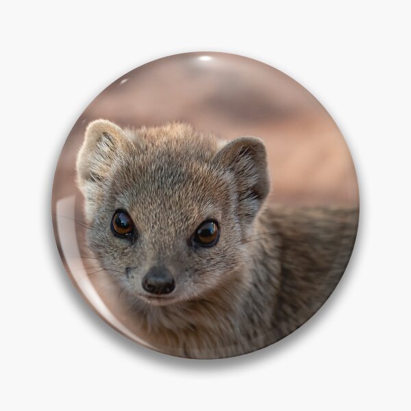 Item preview, Curious Gaze – Close-Up of a Mongoose in the Sand designed and sold by DavideAntoniani.