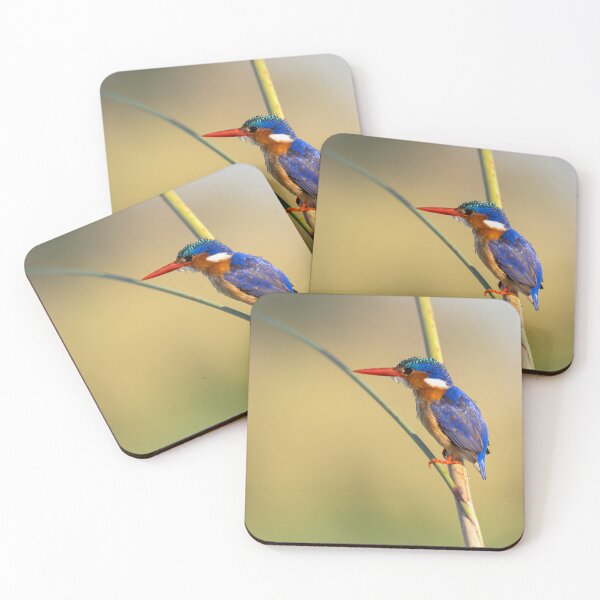 Item preview, Jewel of the Wetlands – Malachite Kingfisher on Reed designed and sold by DavideAntoniani.