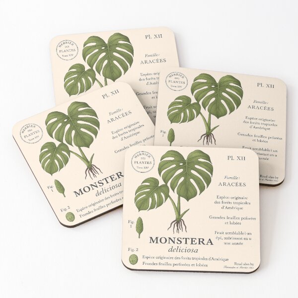 Item preview, Vintage Botanical Monstera Illustration designed and sold by Mo & Ko Design.