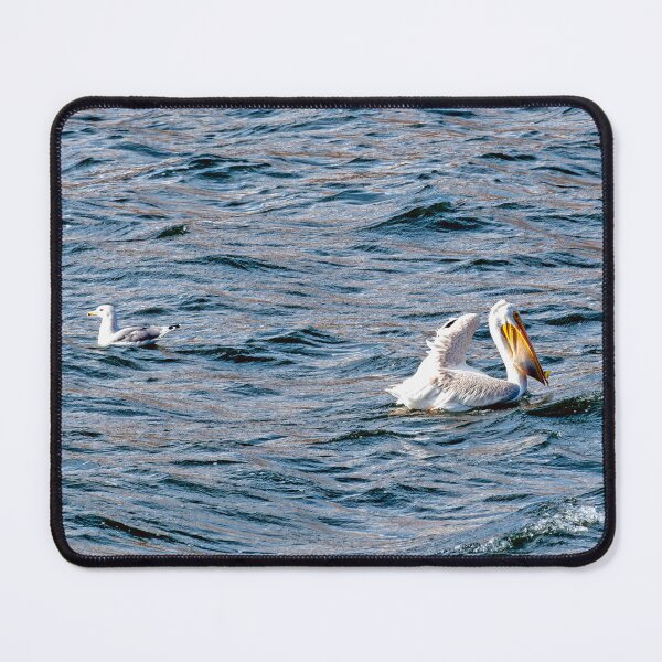 Item preview, White Pelican with freshly caught fish in its pouch designed and sold by lisavonbiela.