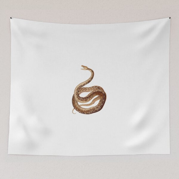 Item preview, Cuban boa designed and sold by Reethes.