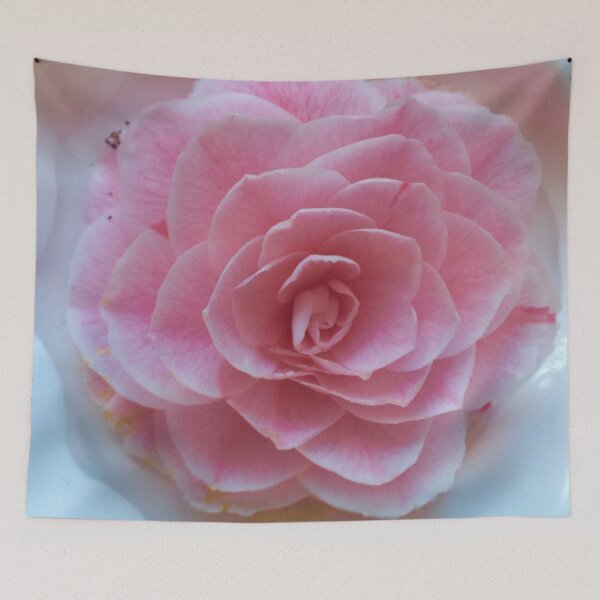 Item preview, Rose designed and sold by KesiaHosking.