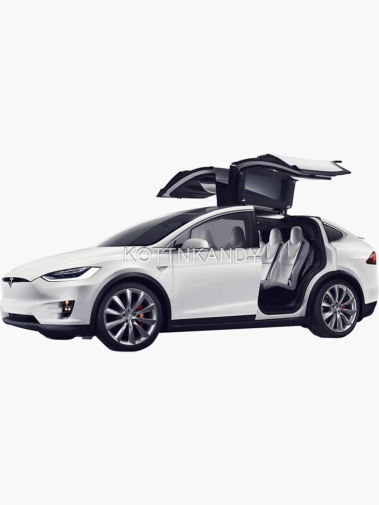 "TESLA MODEL X MODEL S ELON DAVID DOBRIK VLOG SQUAD SCOTTY SIRE CARLY