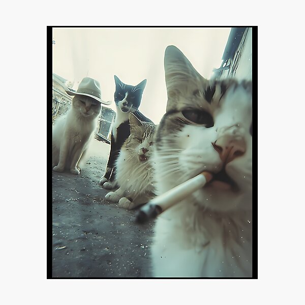 are cats affected by cigarette smoke Cats Smoking Cigarettes Photographic Prints for Sale