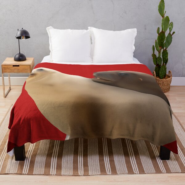 Item preview, Awkward pakake (sea lion) couple on red designed and sold by GivernyKate.