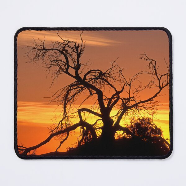 Item preview, 2291 Sunset at Lake Mungo designed and sold by Hans Kawitzki.