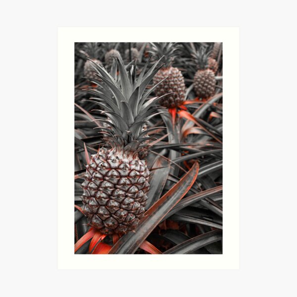 Sweet Pineapples Art Print