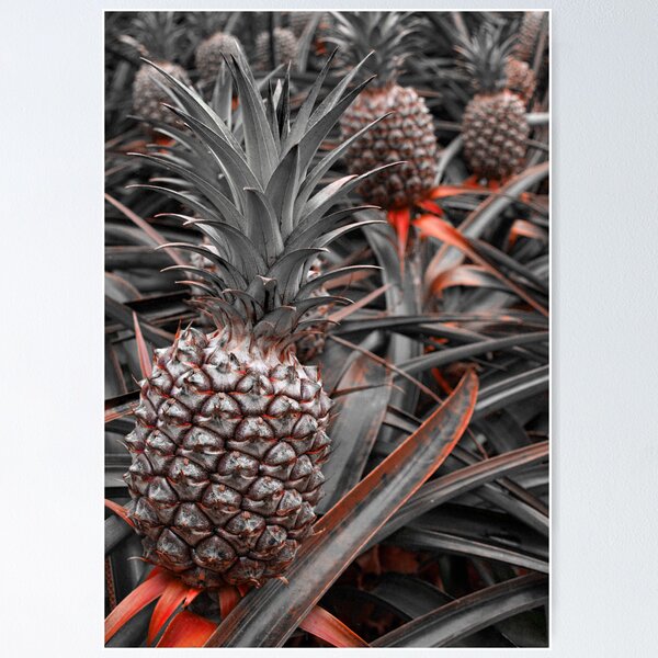 Item preview, Sweet Pineapples designed and sold by aaronarroy.