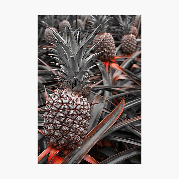 Artikelvorschau, Sweet Pineapples entworfen und verkauft von aaronarroy.