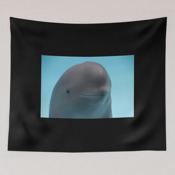 Item preview, Miharu The Smiling Dolphin designed and sold by ArtuCressac.