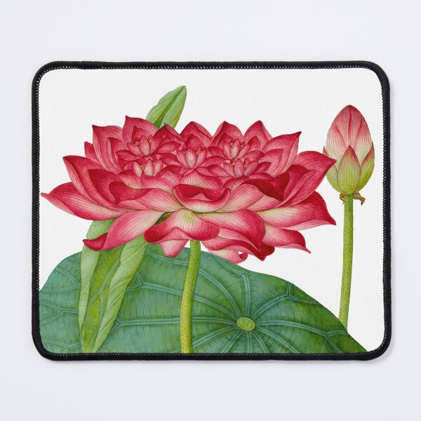Item preview, Waterlily designed and sold by Book Maven.