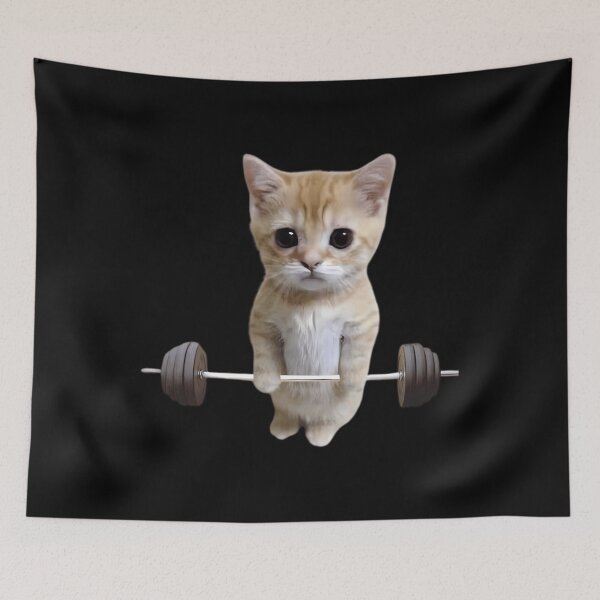 Item preview, Gym Cat Deadlift 2 designed and sold by BurnelRuais.
