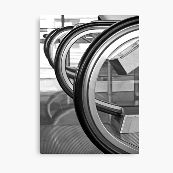 Black Curves Canvas Print