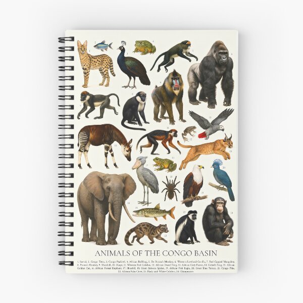 Item preview, Animals of the Congo Basin Retro Illustration Wildlife Chart designed and sold by kakarikihill.
