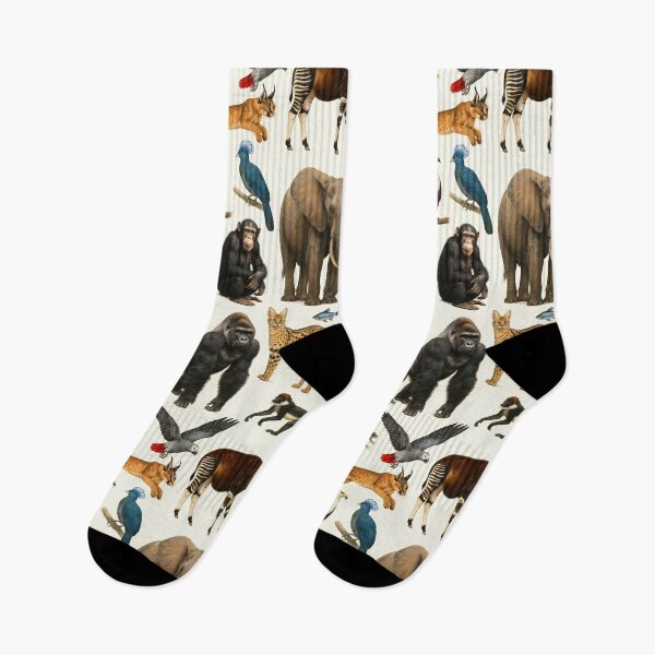 Item preview, Animals of the Congo Basin Retro Illustration Wildlife Chart designed and sold by kakarikihill.