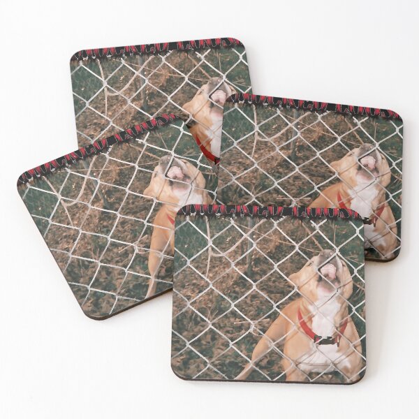 Item preview, Knocked Loose Band Album designed and sold by KatherinBehn.