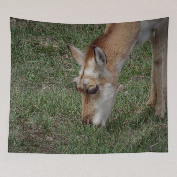 Item preview, Antelope #1 designed and sold by MollyBukovac.