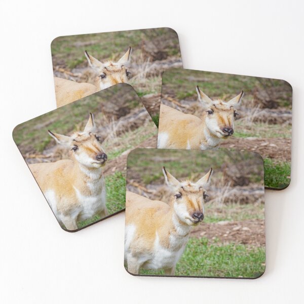 Item preview, Antelope #2 designed and sold by MollyBukovac.