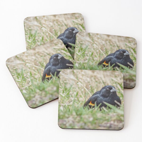 Item preview, Firewing designed and sold by MollyBukovac.