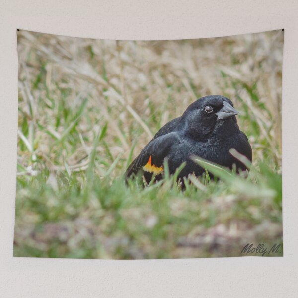 Item preview, Firewing designed and sold by MollyBukovac.