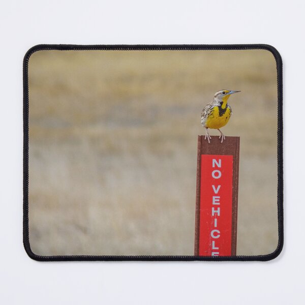 Item preview, Parking a Lark designed and sold by MollyBukovac.
