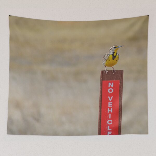 Item preview, Parking a Lark designed and sold by MollyBukovac.