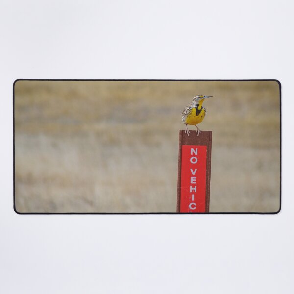 Item preview, Parking a Lark designed and sold by MollyBukovac.
