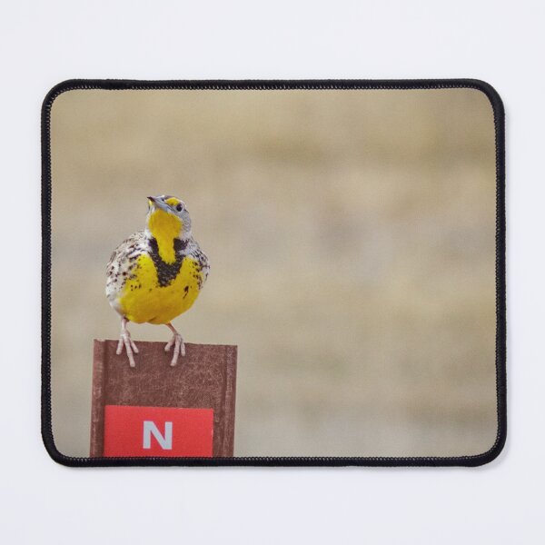 Item preview, Parking a Lark #2 designed and sold by MollyBukovac.