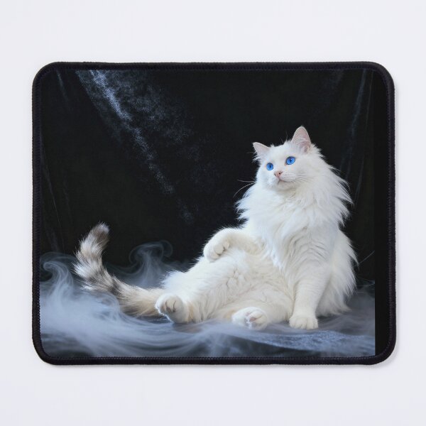 Item preview, Majestic White Cat with Sapphire Eyes designed and sold by BlackGoldenCats.