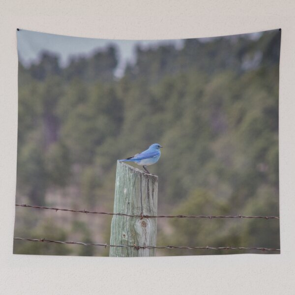 Item preview, Mountian Bluebird #1 designed and sold by MollyBukovac.