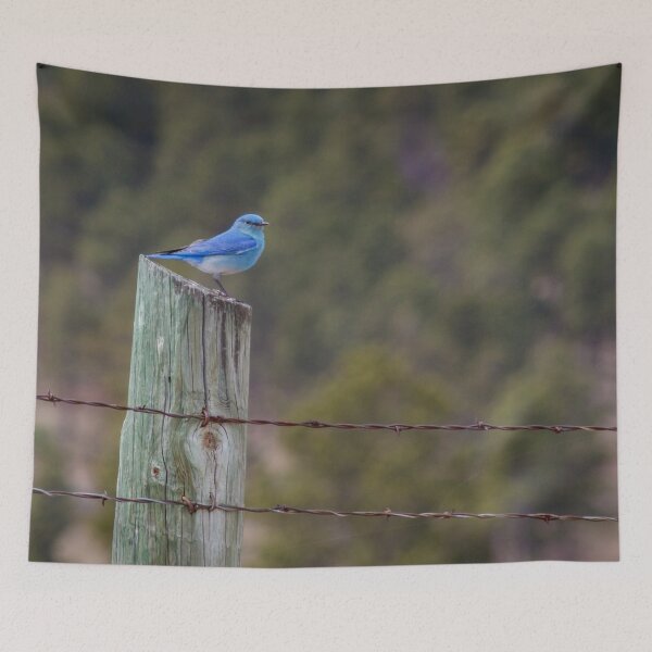 Item preview, Mountian Bluebird #2 designed and sold by MollyBukovac.